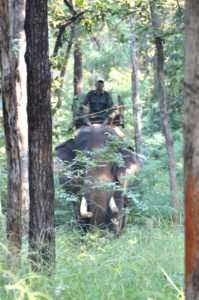 Satpura National Park Madhya Pradesh India safari
