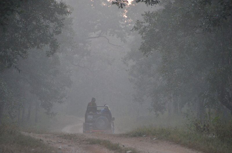 madhya-pradesh-tiger-reserves